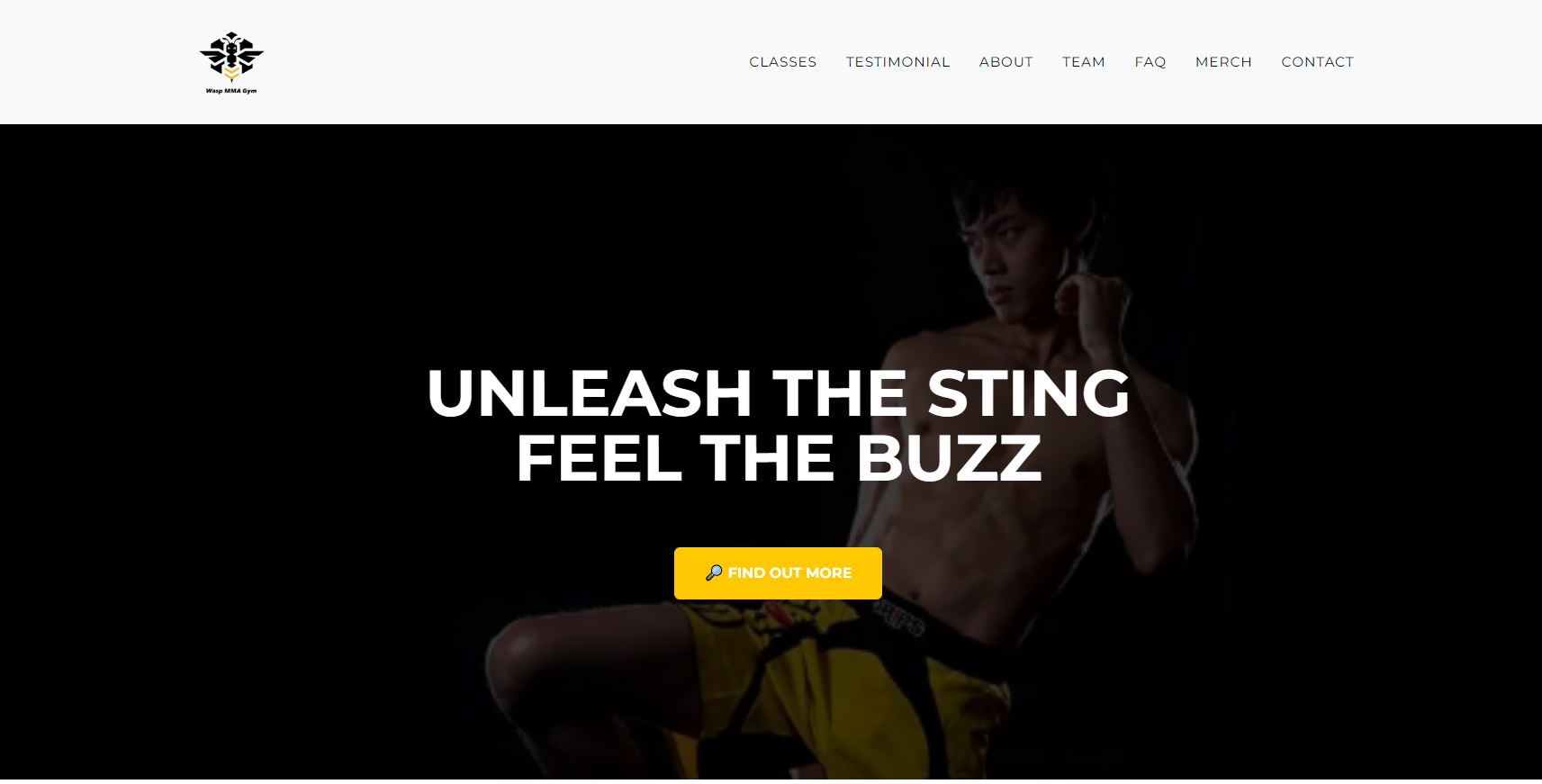 Wasp MMA Gym Landing Page